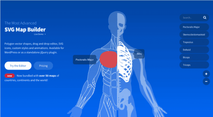ImageMapPro-Hotspot-Plugin- DiviEssential ImageMapPro-Hotspot-DiviEssential-Plugin